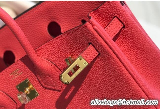 Elegant Hermes Birkin 25cm Bag in Togo Calfskin H25 Rose Lipstick Pink/Gold