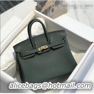 Unique Discount Hermes Birkin 25cm Bag in Togo Calfskin H25 Almond Green/Gold