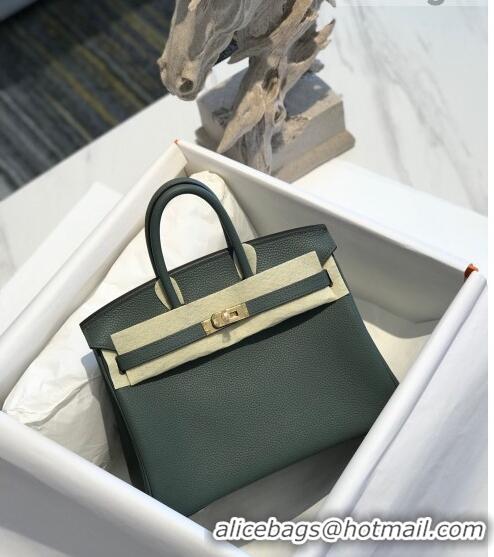 Unique Discount Hermes Birkin 25cm Bag in Togo Calfskin H25 Almond Green/Gold