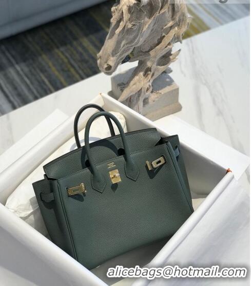 Unique Discount Hermes Birkin 25cm Bag in Togo Calfskin H25 Almond Green/Gold