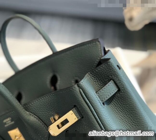 Unique Discount Hermes Birkin 25cm Bag in Togo Calfskin H25 Almond Green/Gold