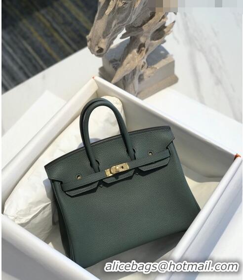 Unique Discount Hermes Birkin 25cm Bag in Togo Calfskin H25 Almond Green/Gold