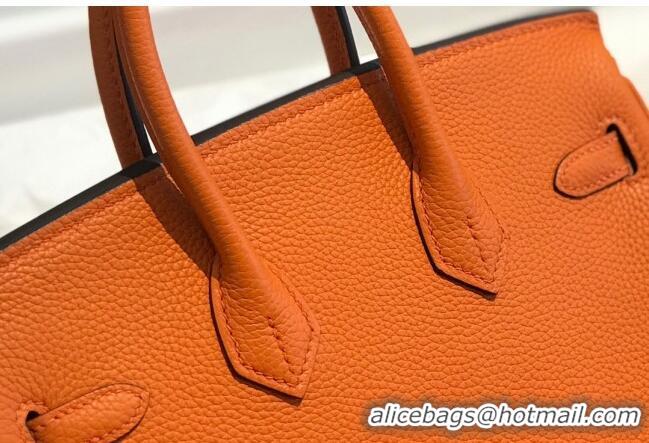 Super Quality Hermes Birkin 25cm Bag in Togo Calfskin H25 Orange/Gold