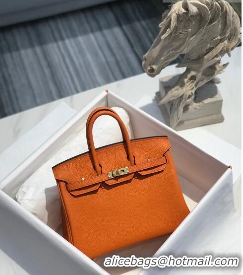 Super Quality Hermes Birkin 25cm Bag in Togo Calfskin H25 Orange/Gold