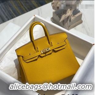 Low Cost Hermes Birkin 25cm Bag in Togo Calfskin H25 Jaune Amber Yellow/Gold