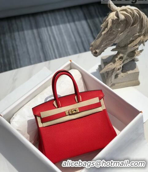 Famous Brand Hermes Birkin 25cm Bag in Togo Calfskin H25 Red/Gold