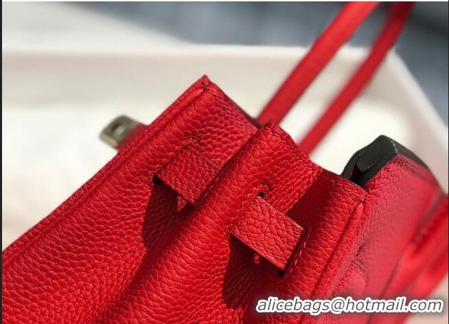 Famous Brand Hermes Birkin 25cm Bag in Togo Calfskin H25 Red/Gold