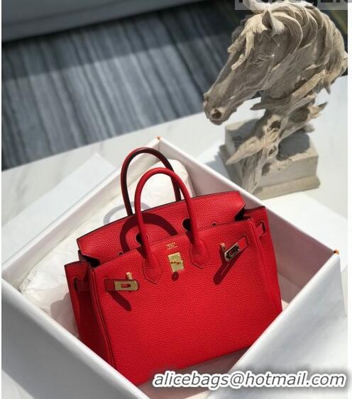 Famous Brand Hermes Birkin 25cm Bag in Togo Calfskin H25 Red/Gold