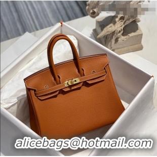 Famous Brand Hermes Birkin 25cm Bag in Togo Calfskin H25 Brown/Gold