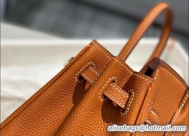 Famous Brand Hermes Birkin 25cm Bag in Togo Calfskin H25 Brown/Gold