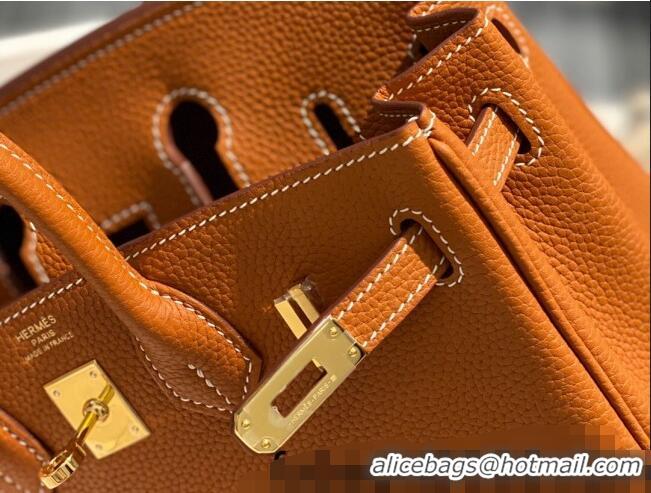 Famous Brand Hermes Birkin 25cm Bag in Togo Calfskin H25 Brown/Gold