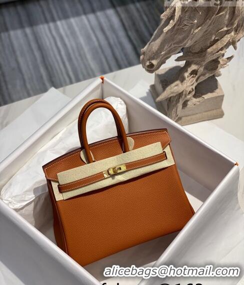 Famous Brand Hermes Birkin 25cm Bag in Togo Calfskin H25 Brown/Gold