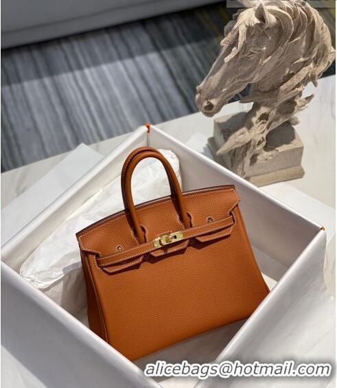 Famous Brand Hermes Birkin 25cm Bag in Togo Calfskin H25 Brown/Gold