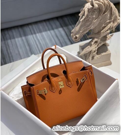 Famous Brand Hermes Birkin 25cm Bag in Togo Calfskin H25 Brown/Gold