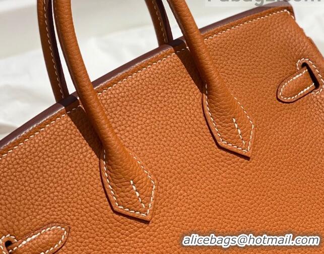 Famous Brand Hermes Birkin 25cm Bag in Togo Calfskin H25 Brown/Gold