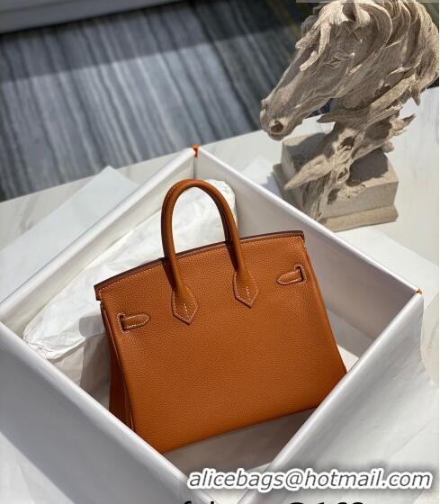 Famous Brand Hermes Birkin 25cm Bag in Togo Calfskin H25 Brown/Gold