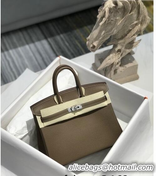 Grade Quality Hermes Birkin 25cm Bag in Togo Calfskin JEtoupe H25 Elephant Grey/Silver