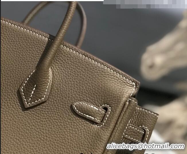 Grade Quality Hermes Birkin 25cm Bag in Togo Calfskin JEtoupe H25 Elephant Grey/Silver