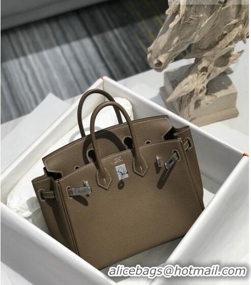 Grade Quality Hermes Birkin 25cm Bag in Togo Calfskin JEtoupe H25 Elephant Grey/Silver