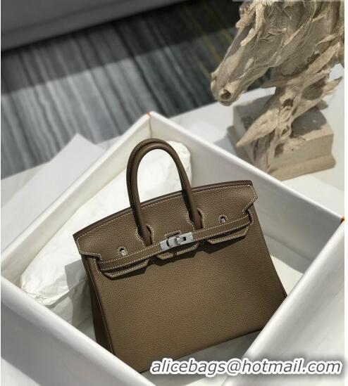 Grade Quality Hermes Birkin 25cm Bag in Togo Calfskin JEtoupe H25 Elephant Grey/Silver