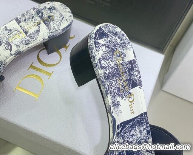 Unique Style Dior Dway Heeled Slide Sandals in Toile de Jouy Stripes Embroidery Navy Blue 052071