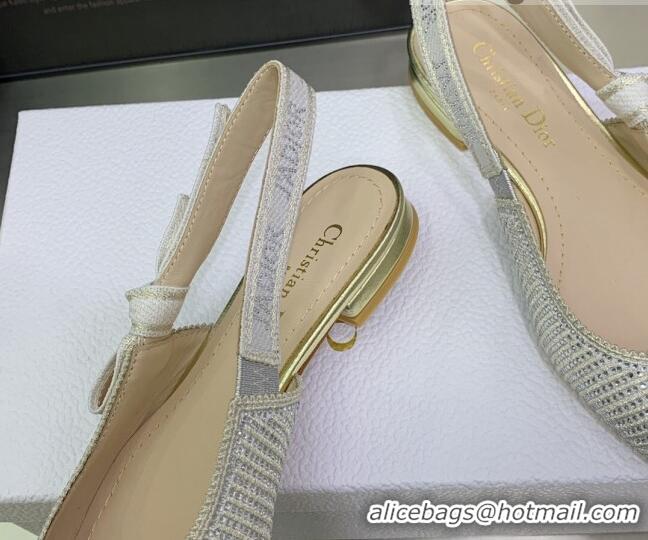 Good Product Dior J'Adior Slingback Ballerinas Flat in Grey Cotton Embroidered with Crystal 052083