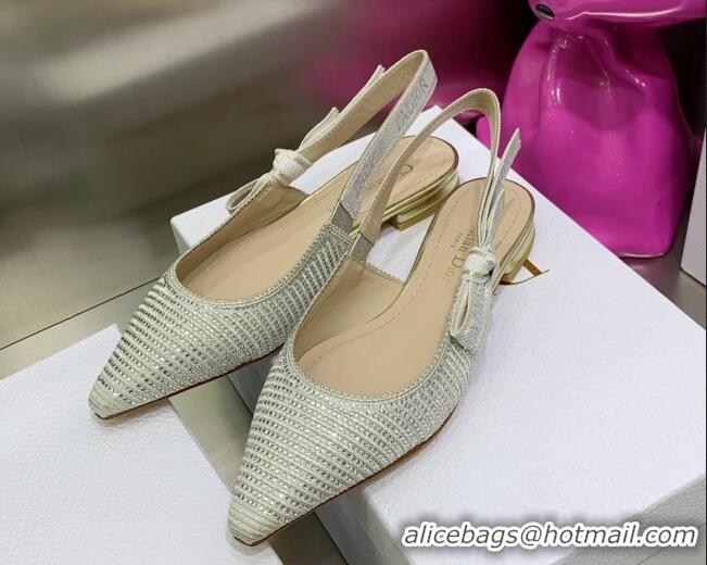 Good Product Dior J'Adior Slingback Ballerinas Flat in Grey Cotton Embroidered with Crystal 052083