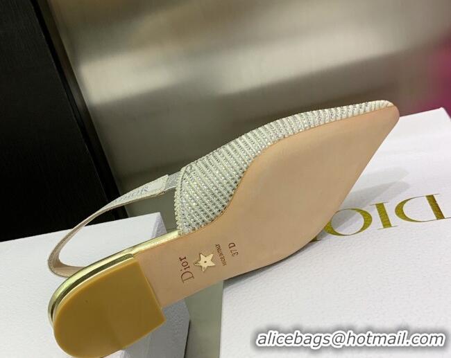 Good Product Dior J'Adior Slingback Ballerinas Flat in Grey Cotton Embroidered with Crystal 052083