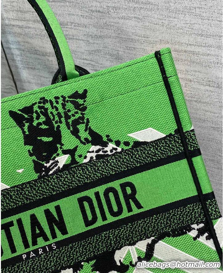 Luxury Discount DIOR BOOK TOTE Embroidery C1287-28 Green