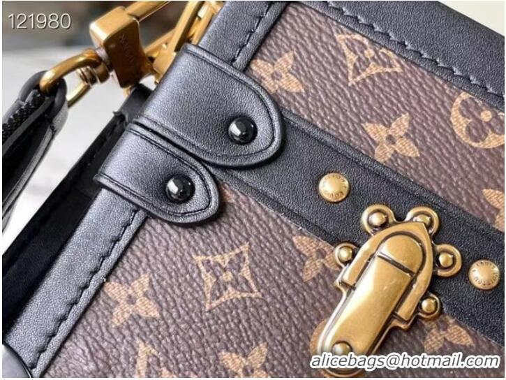 Well Crafted Louis Vuitton PETITE MALLE EAST WEST M46120