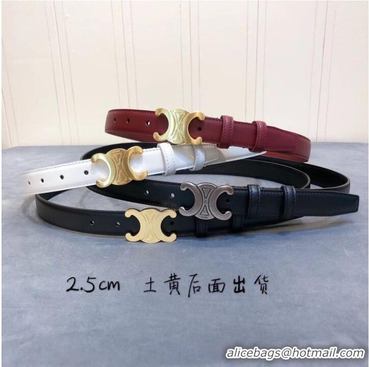 Luxury Discount Celine Belt 25MM CEB00016-1