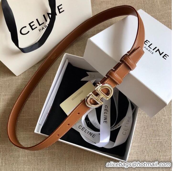 Inexpensive Celine Belt 25MM CEB00017 Brown Silver