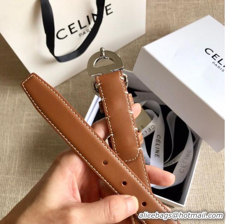 Inexpensive Celine Belt 25MM CEB00017 Brown Silver