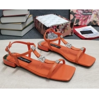 Unique Style Dolce & Gabbana DG Calfskin Sandals Orange 042203