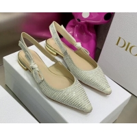 Good Product Dior J'Adior Slingback Ballerinas Flat in Grey Cotton Embroidered with Crystal 052083