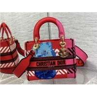 Unique Grade Dior MEDIUM LADY D-LITE BAG Embroidered C0420 rose