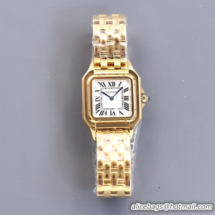 Pretty Style Cartier Watch CTW00016-1