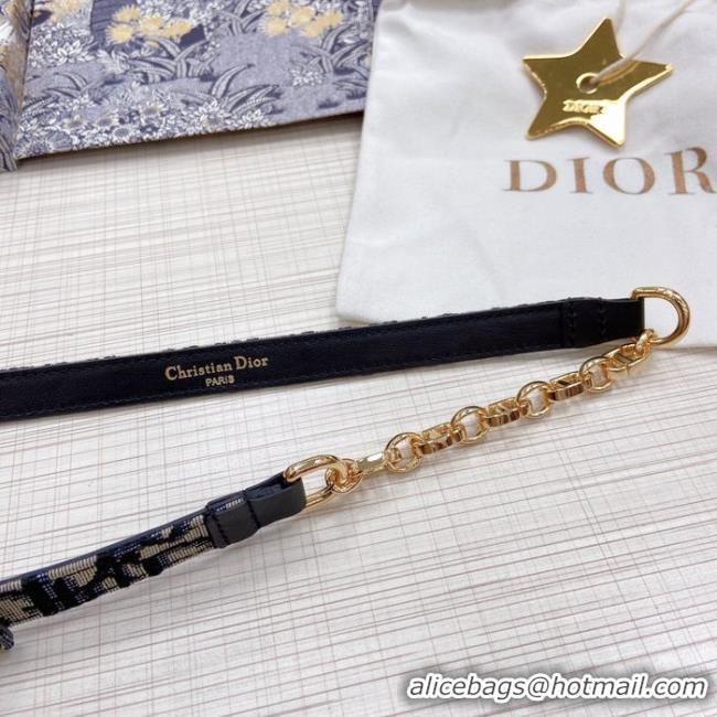 Luxury Dior Belt 15MM CDB00001