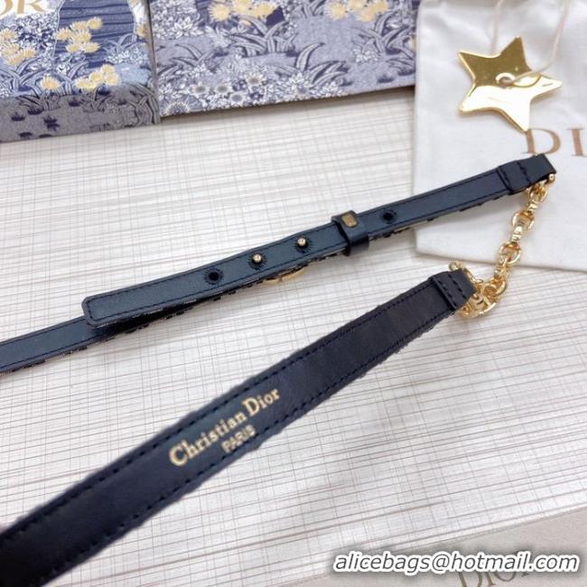 Luxury Dior Belt 15MM CDB00001