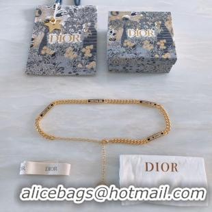 Luxurious Dior Waist chain 15MM CDB00004