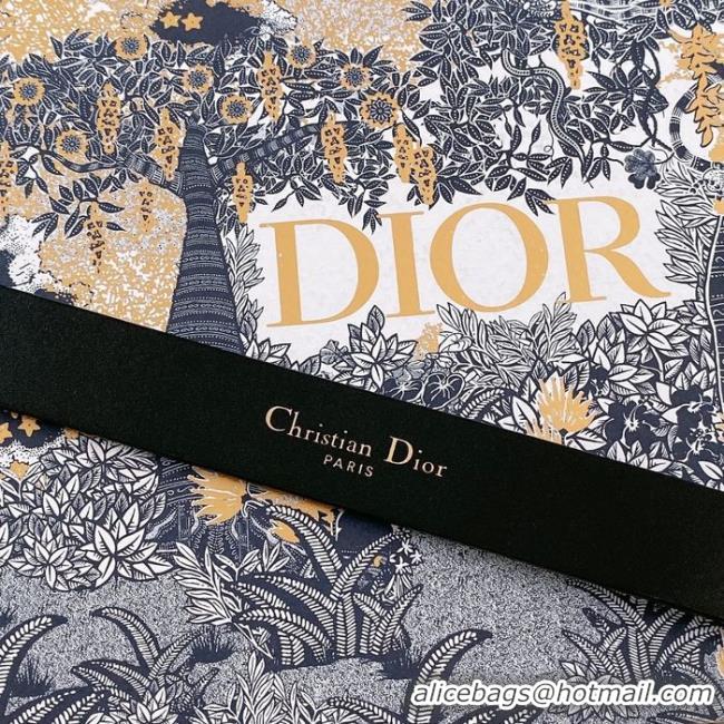 Popular Style Dior Belt 20MM CDB00017