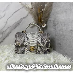 Top Grade Chanel Snake skin mini flap bag with top handle AS2431 gray