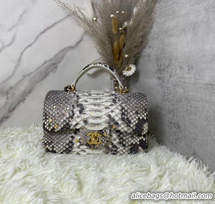 Top Grade Chanel Snake skin mini flap bag with top handle AS2431 gray