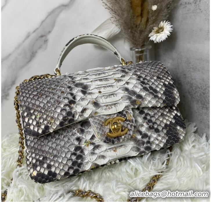 Top Grade Chanel Snake skin mini flap bag with top handle AS2431 gray