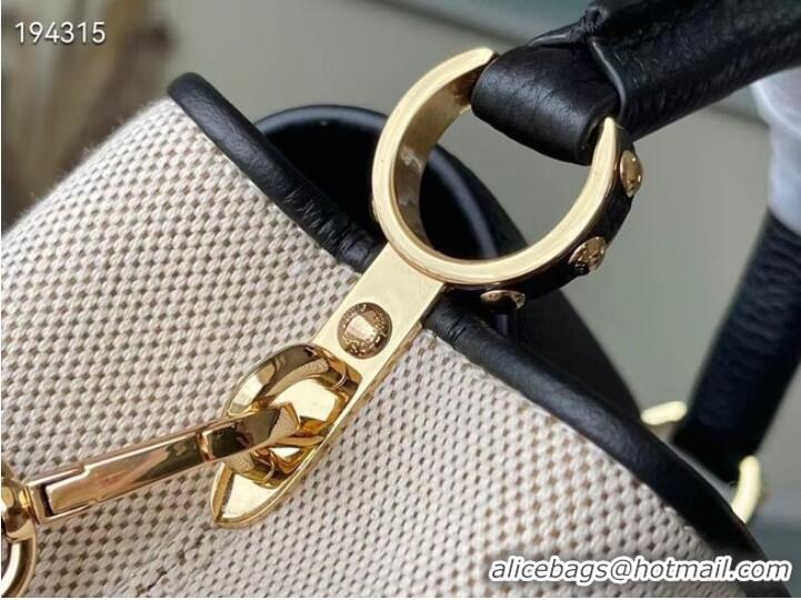 Super Quality Louis Vuitton CAPUCINES MINI M59874 black