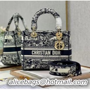 Top Grade Dior MEDIUM LADY D-LITE BAG Embroidered M0565-13