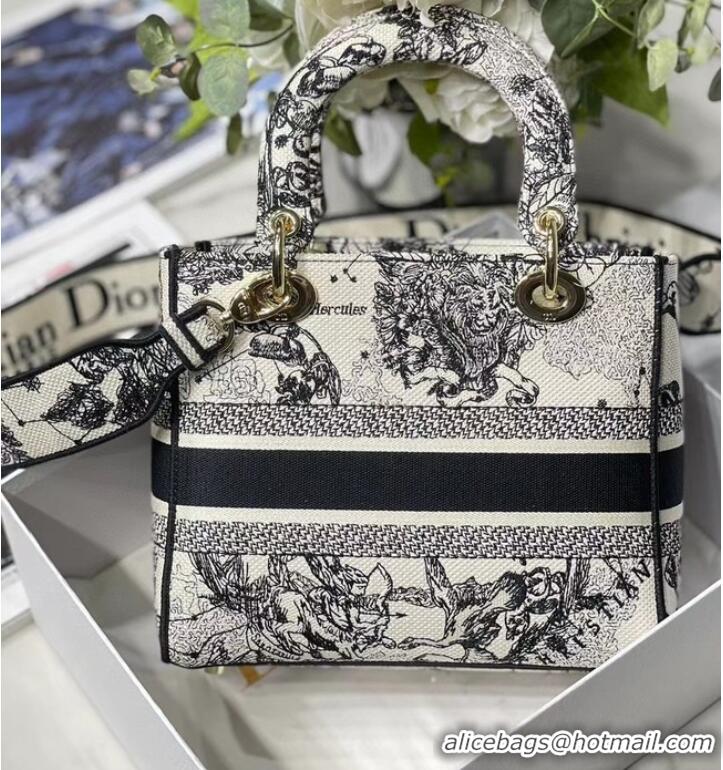 Top Grade Dior MEDIUM LADY D-LITE BAG Embroidered M0565-15