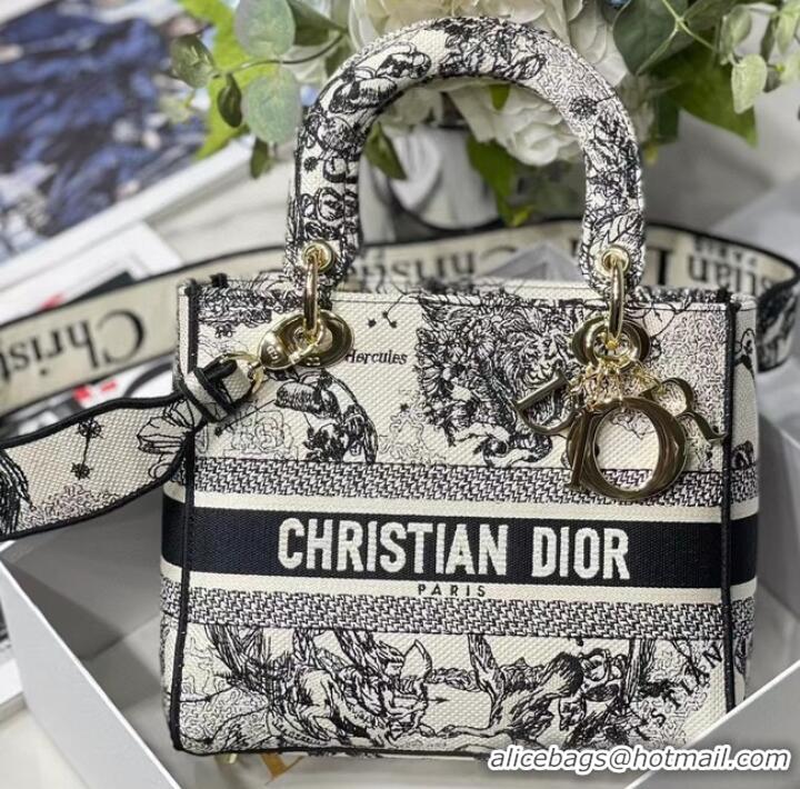 Top Grade Dior MEDIUM LADY D-LITE BAG Embroidered M0565-15