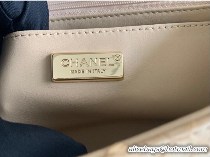 Classic Chanel Snake skin mini flap bag with top handle AS2431 apricot