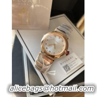 Luxury Bvlgari Watch 28MM BVW00008-4